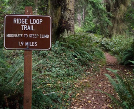 Trail signs at South Whidbey State Park