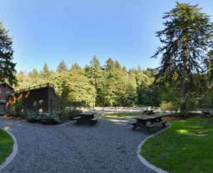 Bridle Trails State Park picnic area