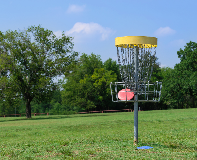 Disc golf basket at Brooks Memorial State Park