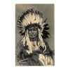 Chief Black Thunder Native Americana RPPC