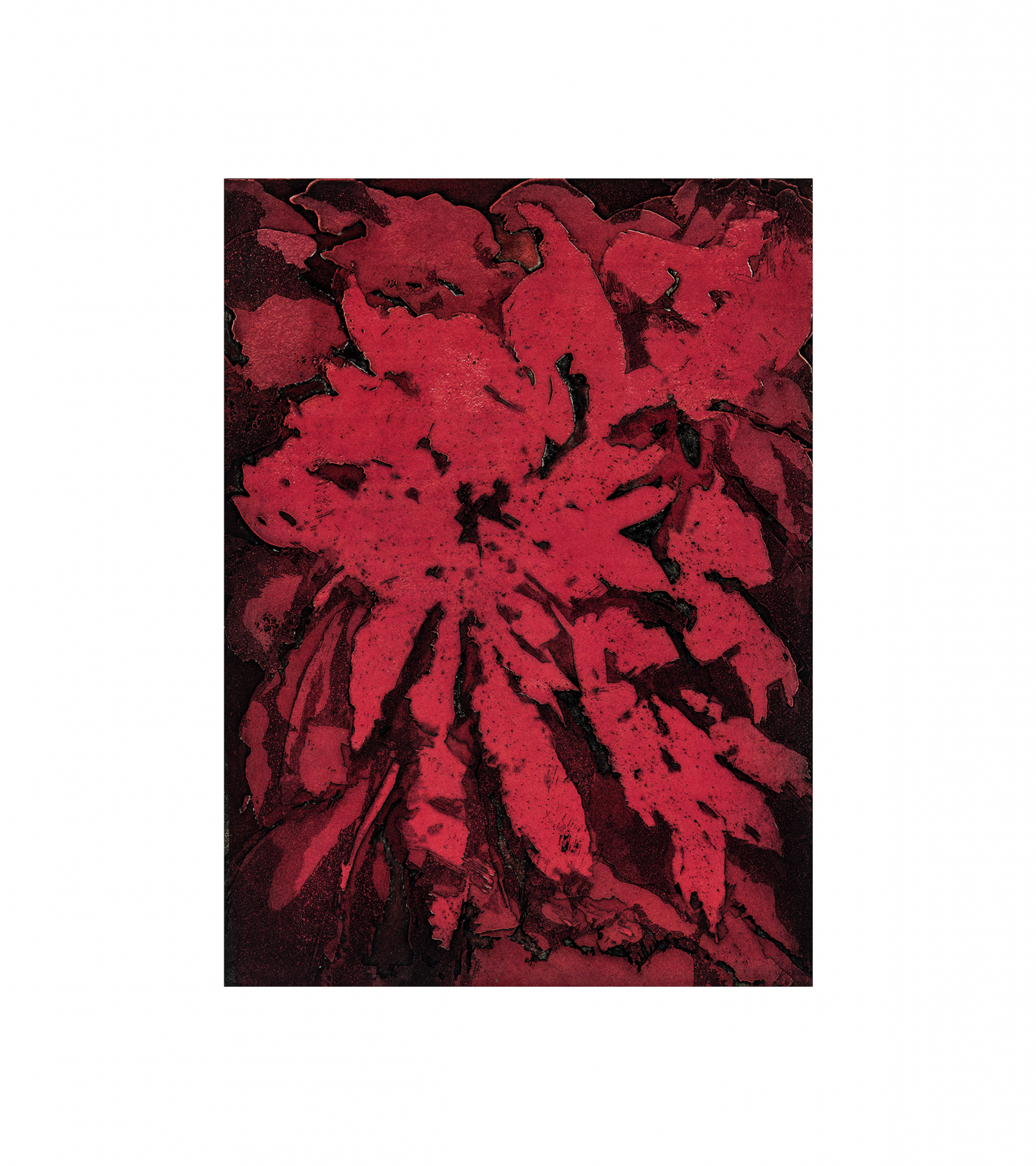 Poinsettia Abstract Art Print