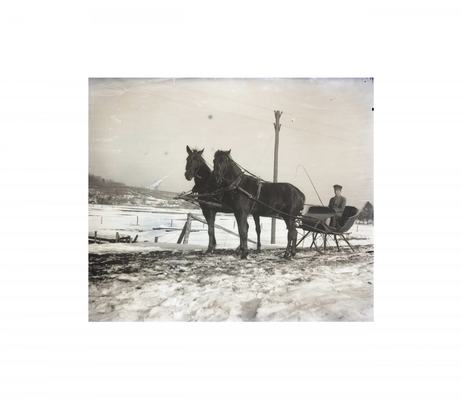 Horse Drawn Sleigh Old Photograph