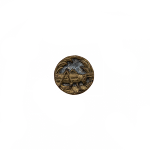 Victorian cricket button