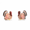 turkey salt shakers