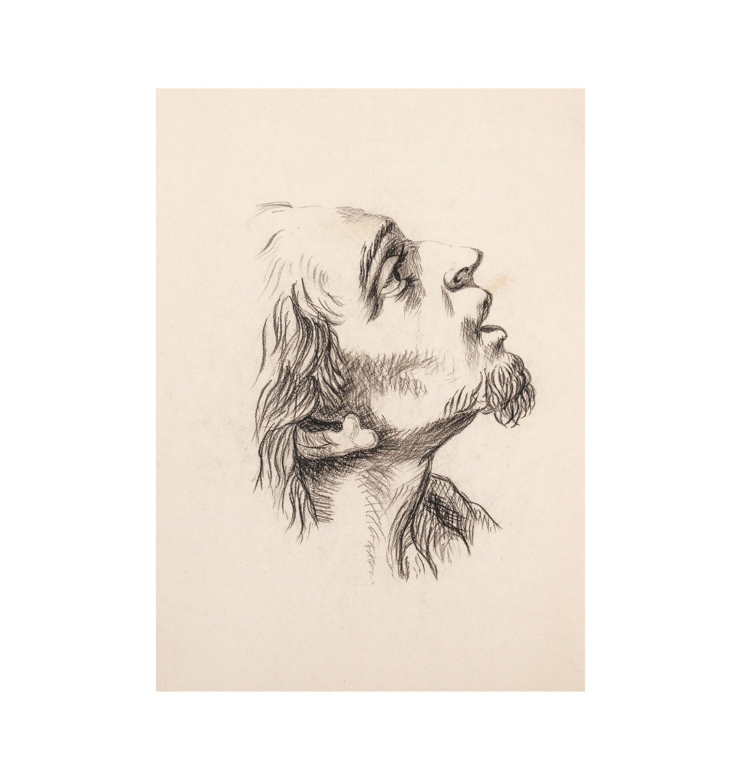 Profile Head Portrait Drawing