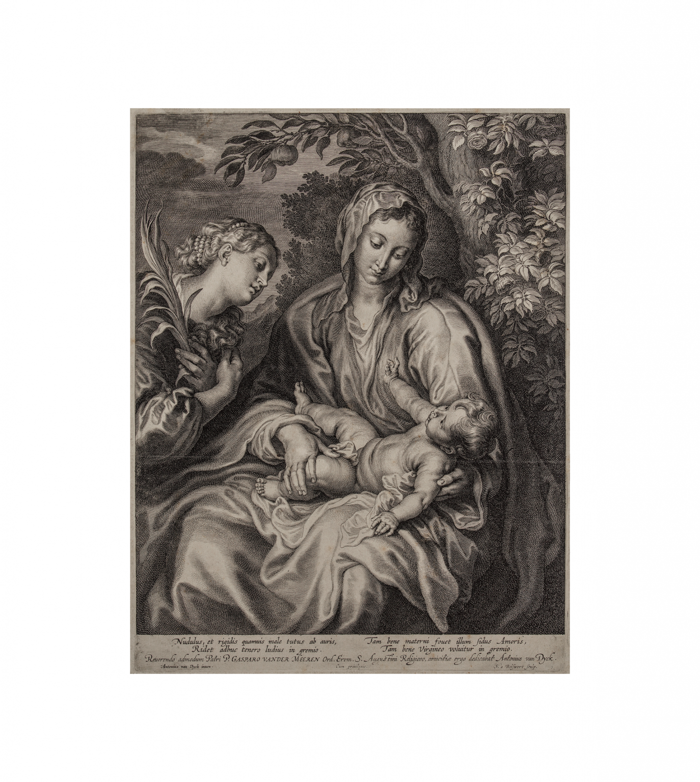 Madonna and Child with St Catherine art print