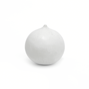 White Bud Vase