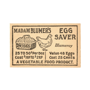 Madam Blumers Egg Saver Antique Envelope