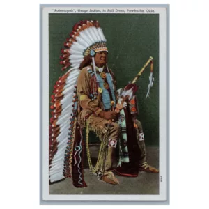 Osage Indian Pahsetopath Vintage Postcard