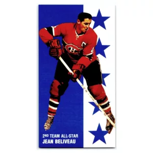 2nd Team All-Star Hockey Card No. 142