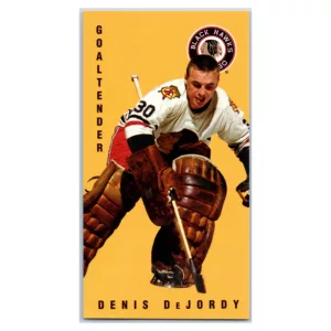 Denis DeJordy Chicago Black Hawks Parkhurst Tallboy 1994