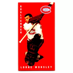 Lorne Worsley Detroit Red Wings Parkhurst Tallboy 1994