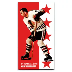 1st Team All-Star Hockey Card No. 137