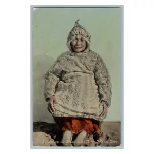 Prospecting For Dinner In The Arctic Vintage Postcard