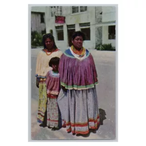 Florida Seminole Indians Vintage Postcard