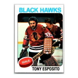 Tony Esposito Chicago Black Hawks Topps 1975