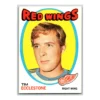 Tim Ecclestone Detroit Red Wings Topps 1971