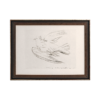 Vintage Picasso Dove Art Print