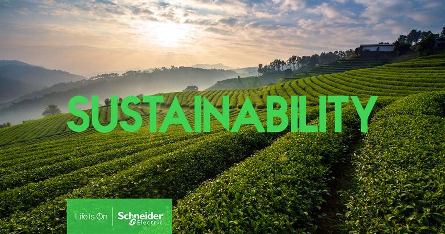 Schneider Electric: Is the Business Improvement Sustainable?