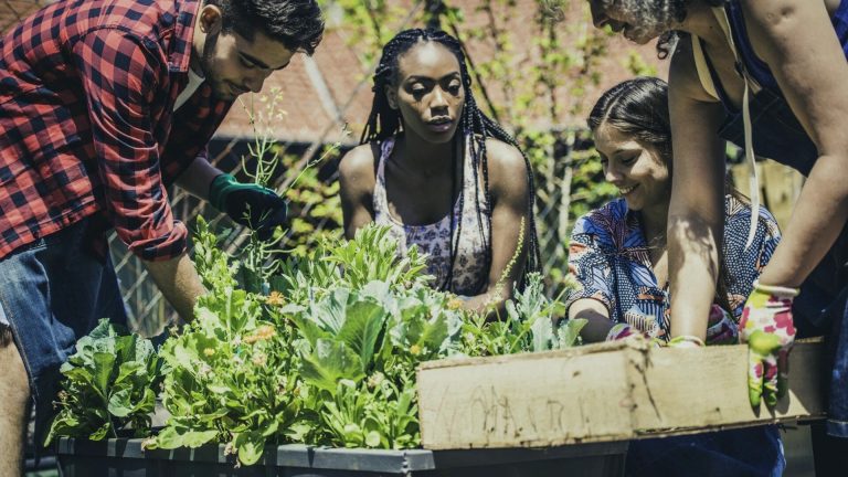 Bezos Earth Fund,Greening America's Cities,$400 million commitment,urban green spaces,parks,trees,community gardens,underserved communities,U.S. cities,climate solutions,environmental justice,bezos earth fund grants,Jeff bezos