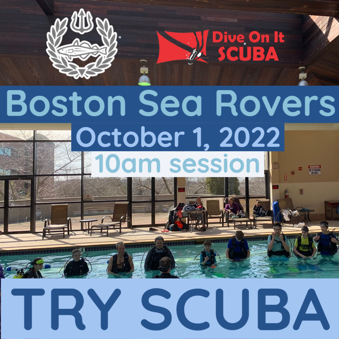 10AM Session 10AM Session