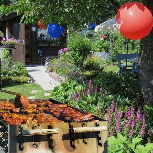 barbecue dans jardin avec ballon