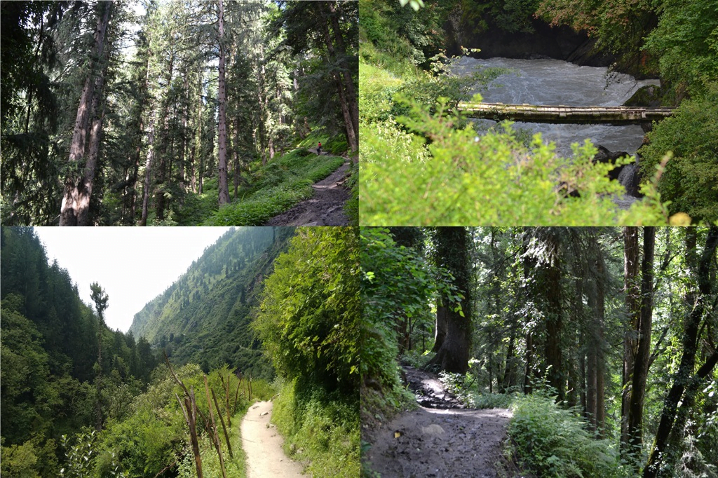 Kheerganga trek - justwravel