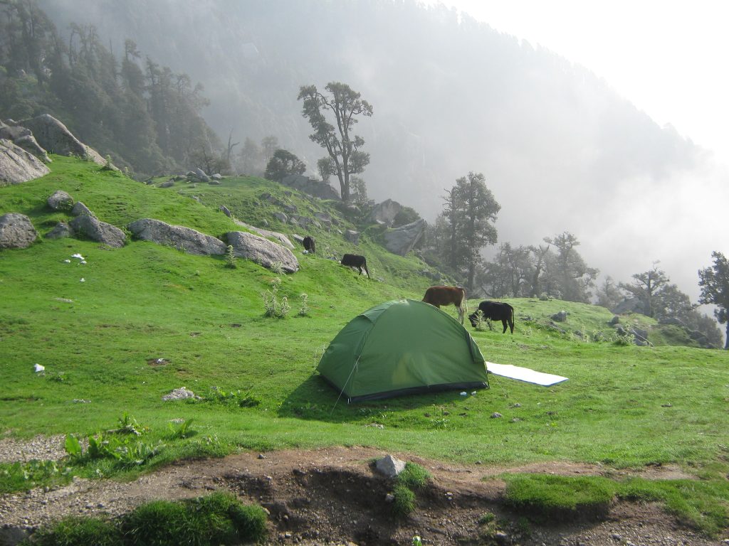 justwravel_triund1-min