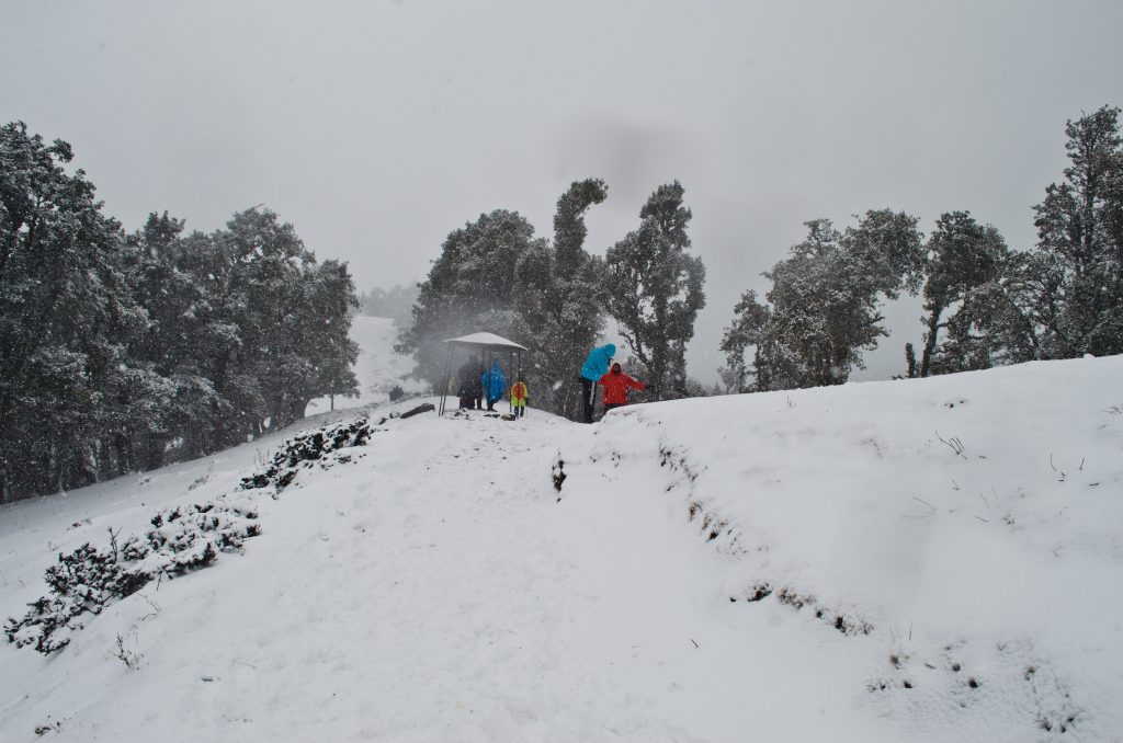 Weekend Snow Trek Nag tibba 