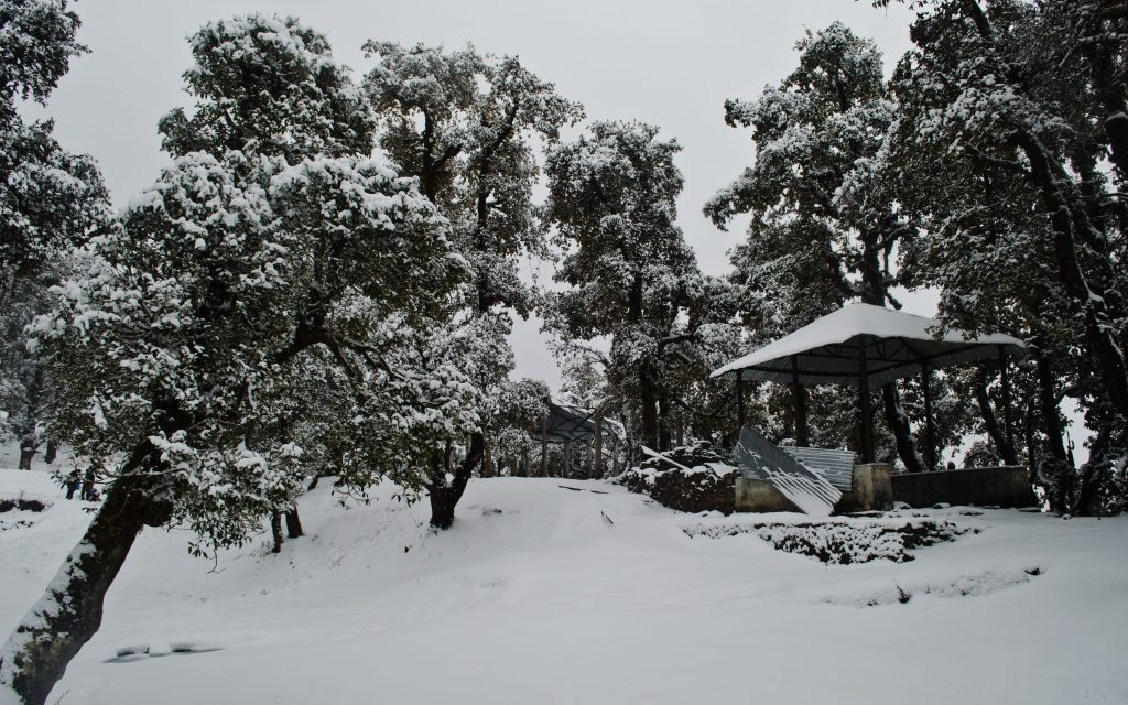 Nag Mandir Snow Trek Nagtibba