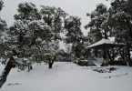 Weekend snow nag tibba trek Justwravel