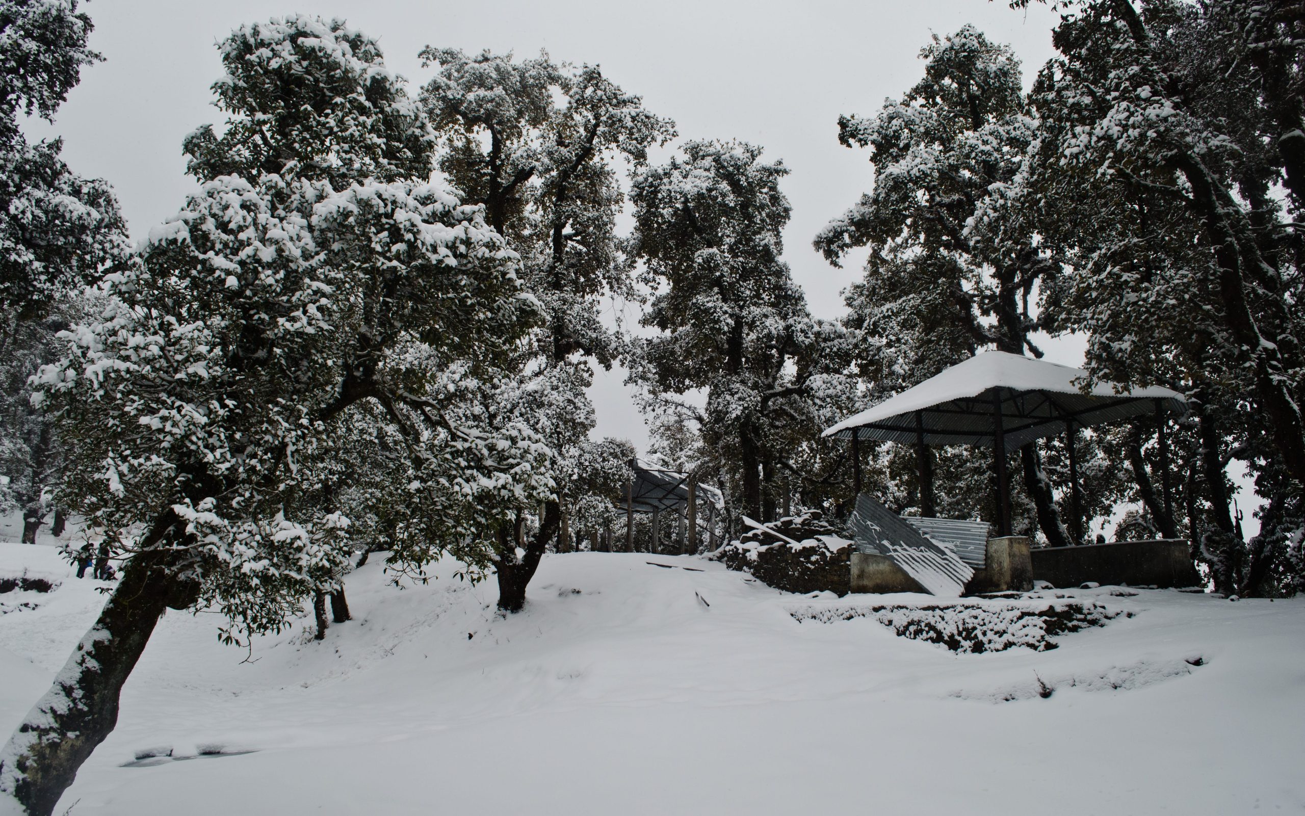 Weekend snow trek to Nag tibba