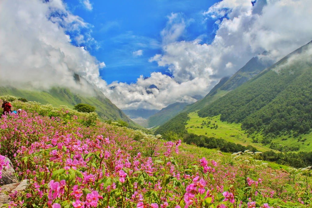 Trekking Experience Valley of Flowers & Hemkund Sahib