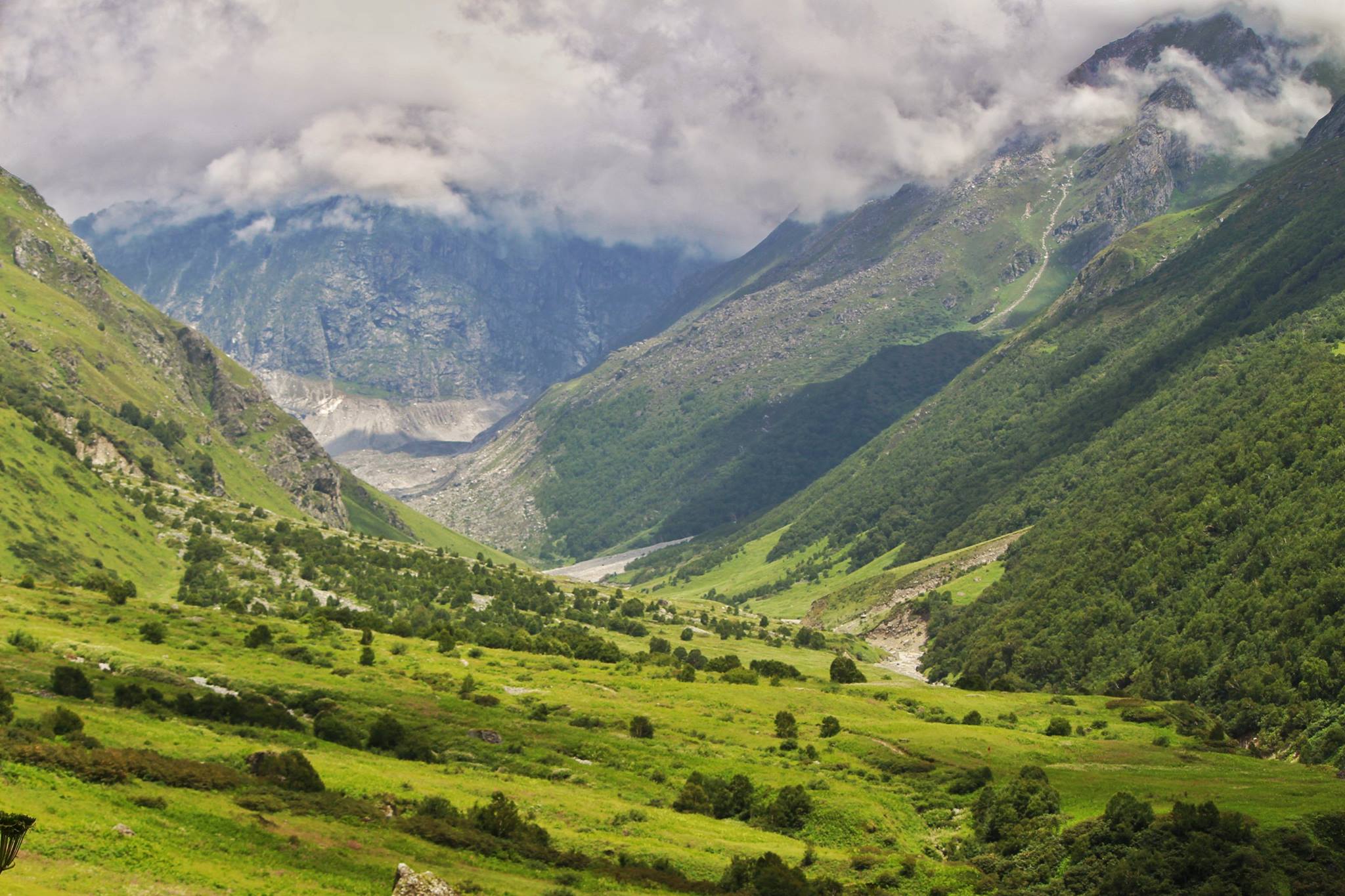 Valley Of Flowers A Paradise on Earth