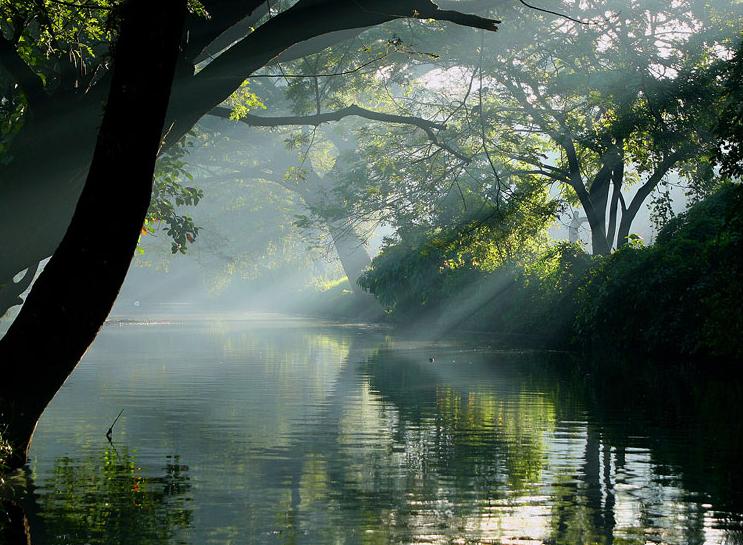 Alappuzha: The Venice of the East