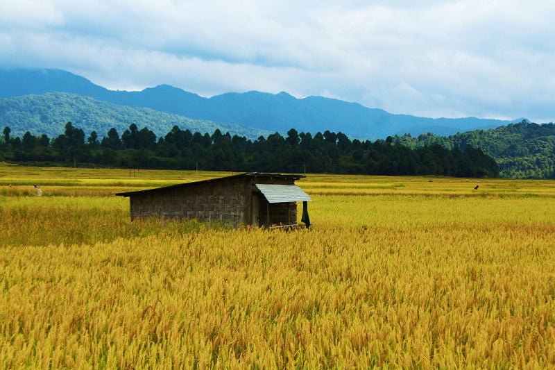 Talle Valley – The hidden beauty of Arunachal Pradesh