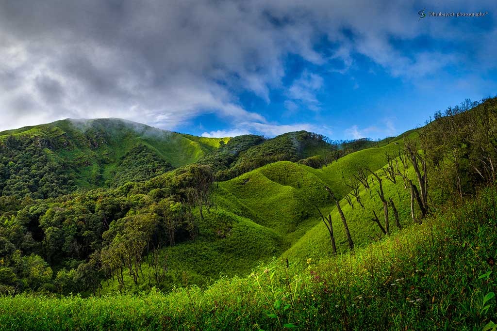 Dzukou Valley – The heaven of Nagaland