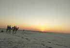 must visit places in rann of kutch justwravel