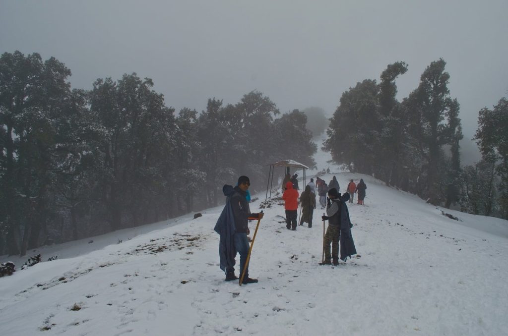 Nagtibba snow trek justwravel