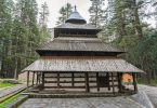 Manali_hadimba_temple_himachal_pradesh_no_covid_certificate.jpg