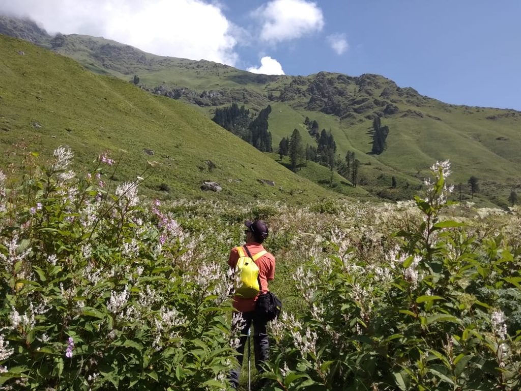 best himalayan spring treks