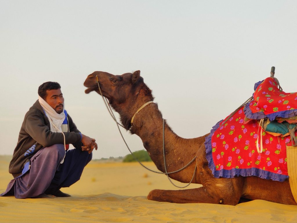 A camel along with its guide in the Rajasthan desert.