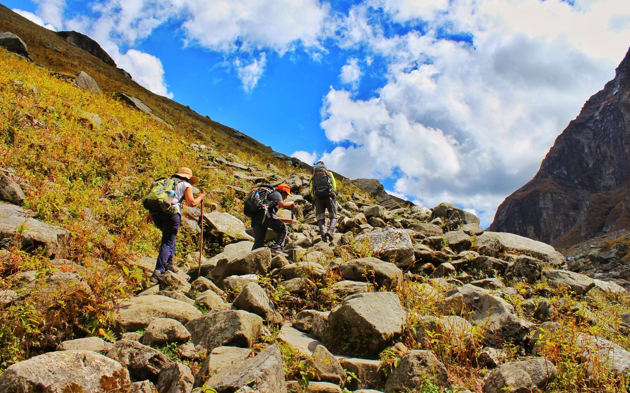 Best summer treks
hampta pass
