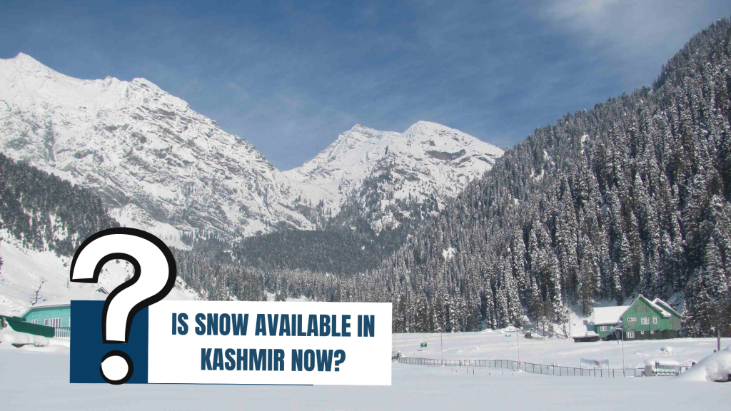 Kashmir trip FAQS- Snow in Kashmir