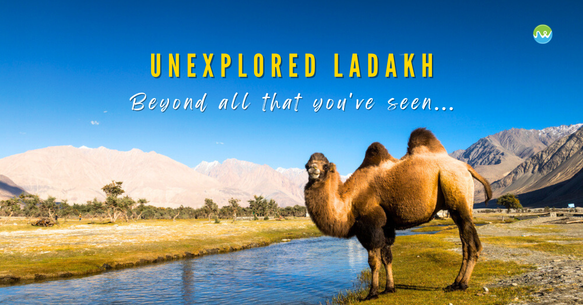 6 awesome must visit places in Ladakh ~ The Land of Wanderlust