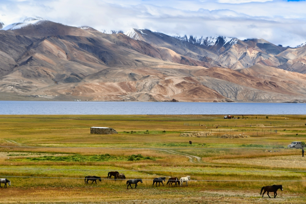 Ladakh: Mountain Monasteries & Untouched Landscapes