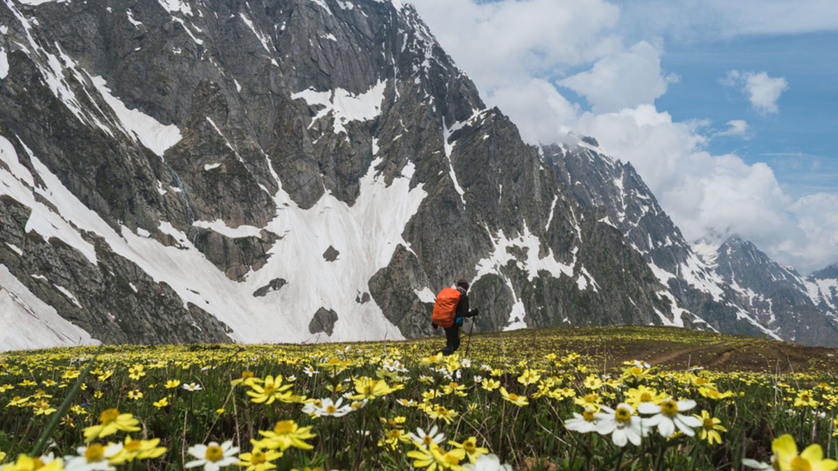 Kashmir Great Lakes Trek: A Complete Guide