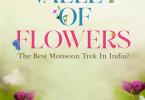 Valley of flowers trek -best monsoon trek