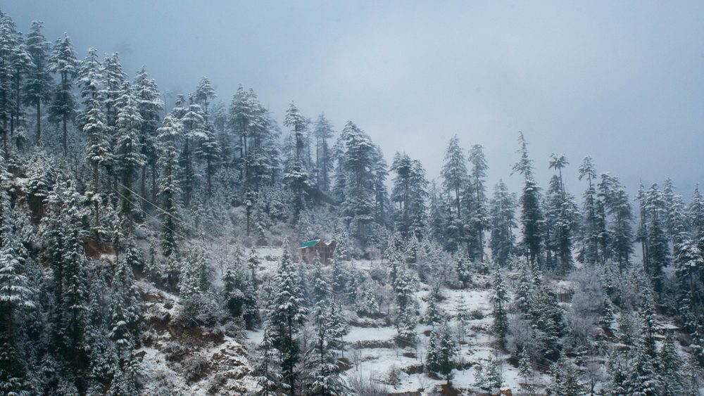 jibhi in winters