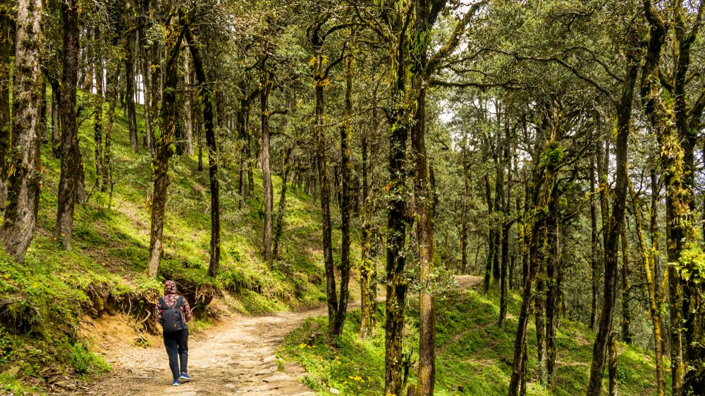 national park in Jibhi